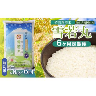 ふるさと納税 鶴岡市 【毎月定期便】斎藤農場の特別栽培米雪若丸無洗米5kg [K-840]全6回