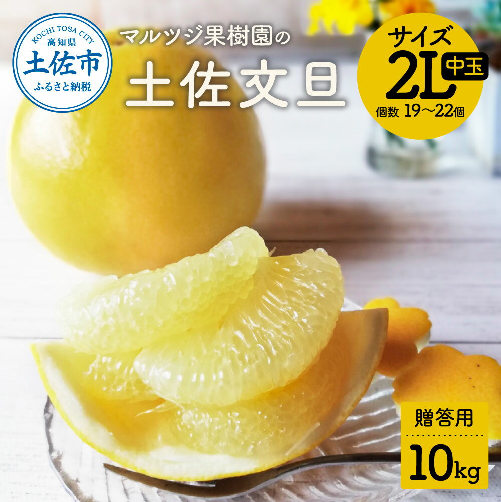 【ふるさと納税】文旦 贈答用(中玉) 約10kg 10キロ 2Lサイズ 19~22個入り ぶんたん ブンタン フルーツ 柑橘 みかん 果物 くだもの 柑橘類 デザート お取り寄せ 国産 常温 配送 故郷納税 ふるさとのうぜい 返礼品 高知県 土佐市 マルツジ果樹園の土佐文旦