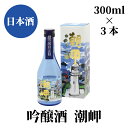 【ふるさと納税】潮岬 吟醸酒 300ml×3本