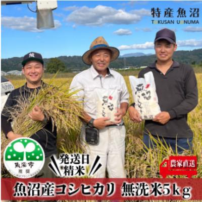 ふるさと納税 魚沼市 【令和8年産先行受付】農家直送 魚沼産コシヒカリ　無洗米5Kg 【特産魚沼】
