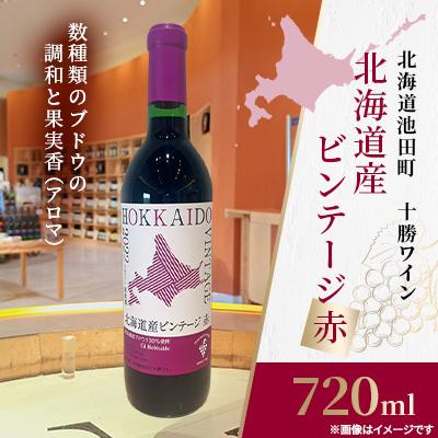 ふるさと納税 池田町 十勝ワイン 北海道産ビンテージ赤 1本