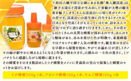 石蔵のはちみつトチセット 【 ふるさと納税 人気 おすすめ ランキング 国産 はちみつ ハチミツ 蜂蜜 4種 食べ比べ セット りんご トチ そば アカシア お試し 100g 4本 400g おいらせ