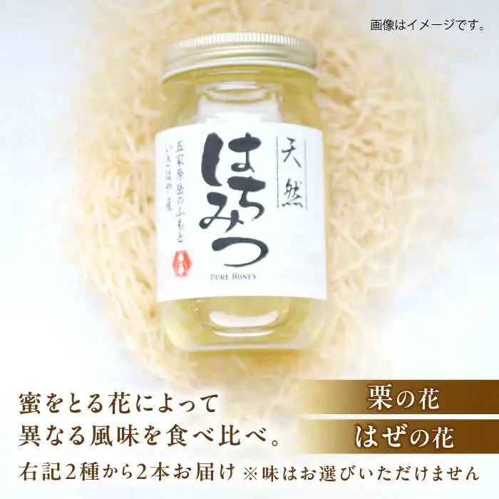 長崎県産天然はちみつ600g(2本セット) / 百花蜜 百花蜂蜜 蜂蜜 はちみつ ハチミツ / 諫早市 / 坂口養蜂 [AHDB001]
