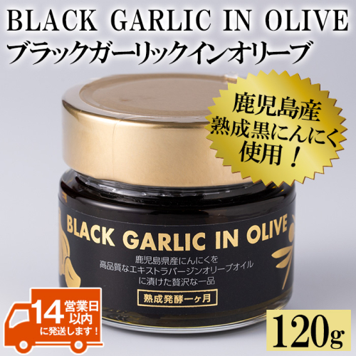 No.367 ＜BLACK GARLIC IN OLIVE＞ブラックガーリックインオリーブ(120g×1本・固形60g) ニンニク 黒にんにく 油 オリーブ 調味料【鹿児島オリーブ】