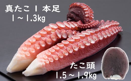 F-19002 【北海道根室産】真たこ足1～1.3kg・たこ頭1.5～1.9kgセット