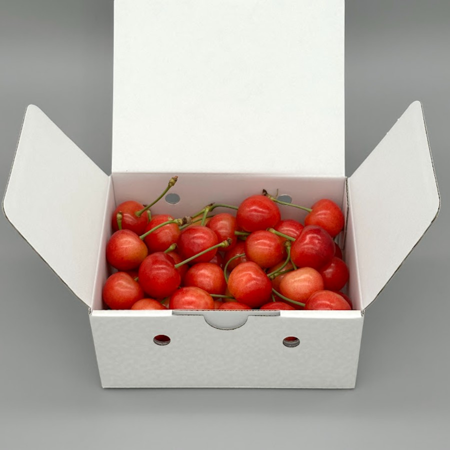 ＜岩原果樹園＞北杜市産 さくらんぼ 3L～4L350g バラ箱詰め