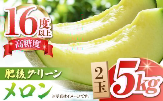 【先行予約】【数量限定】 肥後グリーンメロン 糖度16度以上 2玉 計約5kg【岡山農園】めろん 果物 フルーツ 熊本県 グリーンメロン [ZBY002]