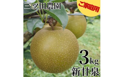 3K.■三ツ田農園■新甘泉3kg〔ご家庭用〕