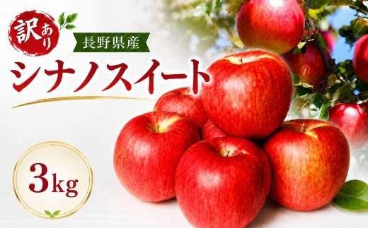 【訳あり】長野県産 シナノスイート 約3kg ＜2026年10月上旬～10月下旬発送＞｜果物 くだもの フルーツ りんご リンゴ 林檎 シナノスイート 訳あり わけあり 長野県 信州 南信州 飯田市