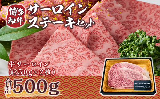 博多和牛サーロインステーキセット 500g (250g×2枚)　DX005