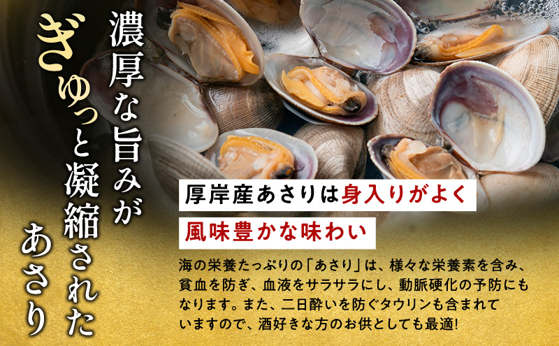 2月発送 北海道 厚岸産 訳あり 活あさり 500g  アサリ 魚貝 海鮮 大粒 美味しい 栄養 旨み 砂出し 水洗い 冷蔵 冷凍保存可能 便利
