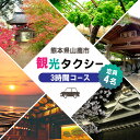 【ふるさと納税】山鹿市 観光タクシー 3時間コース【肥後第一交通 株式会社 】[ZBJ002] 貸切フリー利用券 チケット 旅行 熊本県 旅行