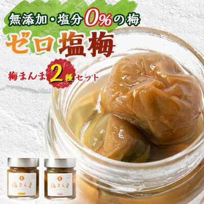 【ふるさと納税】【特許製法!無添加・塩分0%の梅】ゼロ塩梅　梅まんま　2種類セット!(はちみつ・岩塩)【1488163】