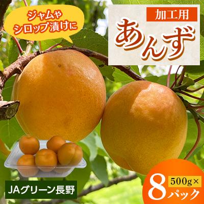 ふるさと納税 長野市 【先行受付】JAグリーン長野　あんず　加工用　500g×8パック