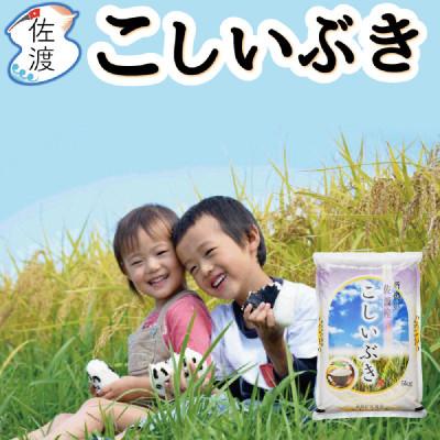 ふるさと納税 佐渡市 佐渡島産こしいぶき 無洗米25kg(5kg×5袋) 令和7年産【食の宝島佐渡】