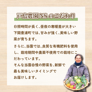 むらさき大根 2kg セット 野菜 大根 惣菜 煮物 サラダ 産地直送 下関 山口 FW015