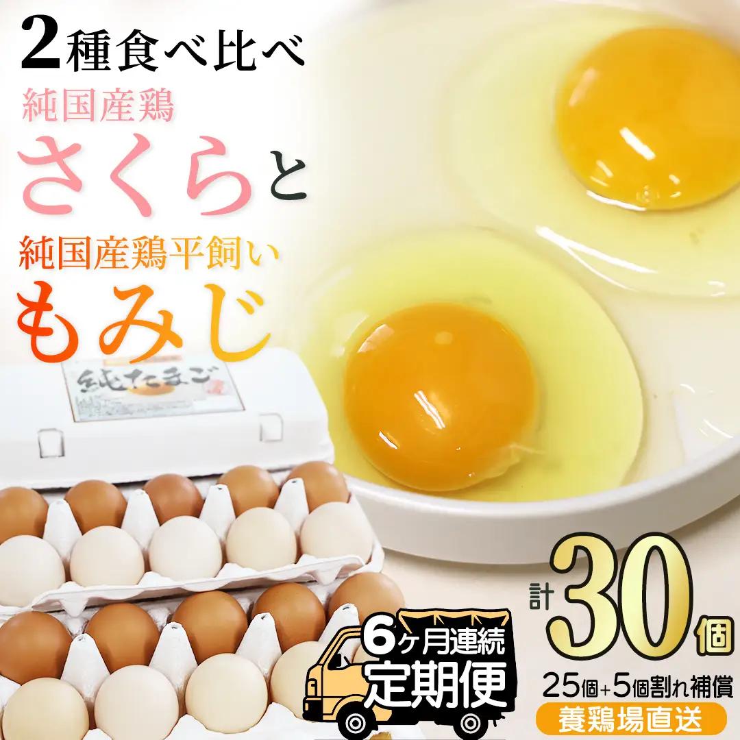 純国産鶏【さくらともみじ】純たまご30個入り 破損保証5個を含む【6ヶ月連続お届け】 (AJ033) 国産 卵 産地直送 飼料にこだわった 鶏卵