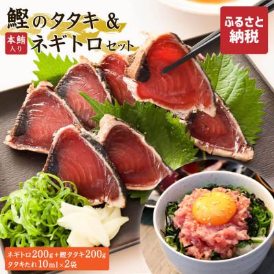 ふるさと納税 土佐市 鰹タタキ・ネギトロ(本鮪入り)のセット