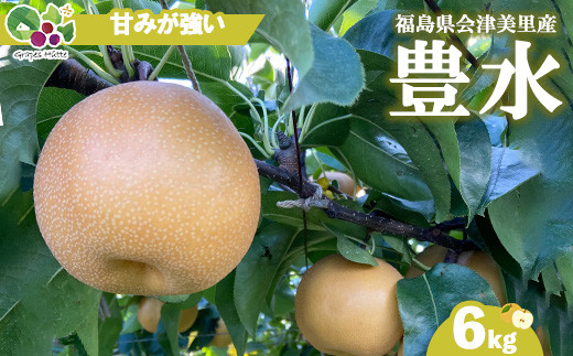 
            【先行受付】会津の美味しい梨 豊水 約6kg（10玉～12玉）◇｜ 期間限定 梨 なし ナシ 果物 フルーツ 甘い ジューシー 果実 くだもの 国産 果実 会津美里町産 ※2025年9月中旬～9月下旬頃に順次発送予定
          