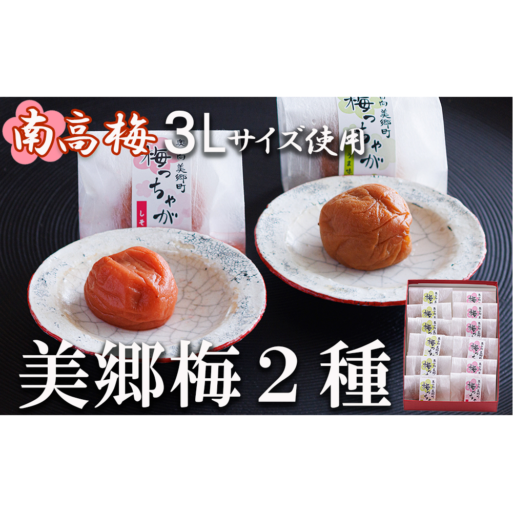 南高梅 梅干し 美郷梅 一粒入り うま味昆布 & シソ風味 各6粒 3Lサイズ A級品 化粧箱入り [農林産物直売所 美郷ノ蔵 宮崎県 美郷町 31ab0101] 国産 セット 詰め合わせ 宮崎県産