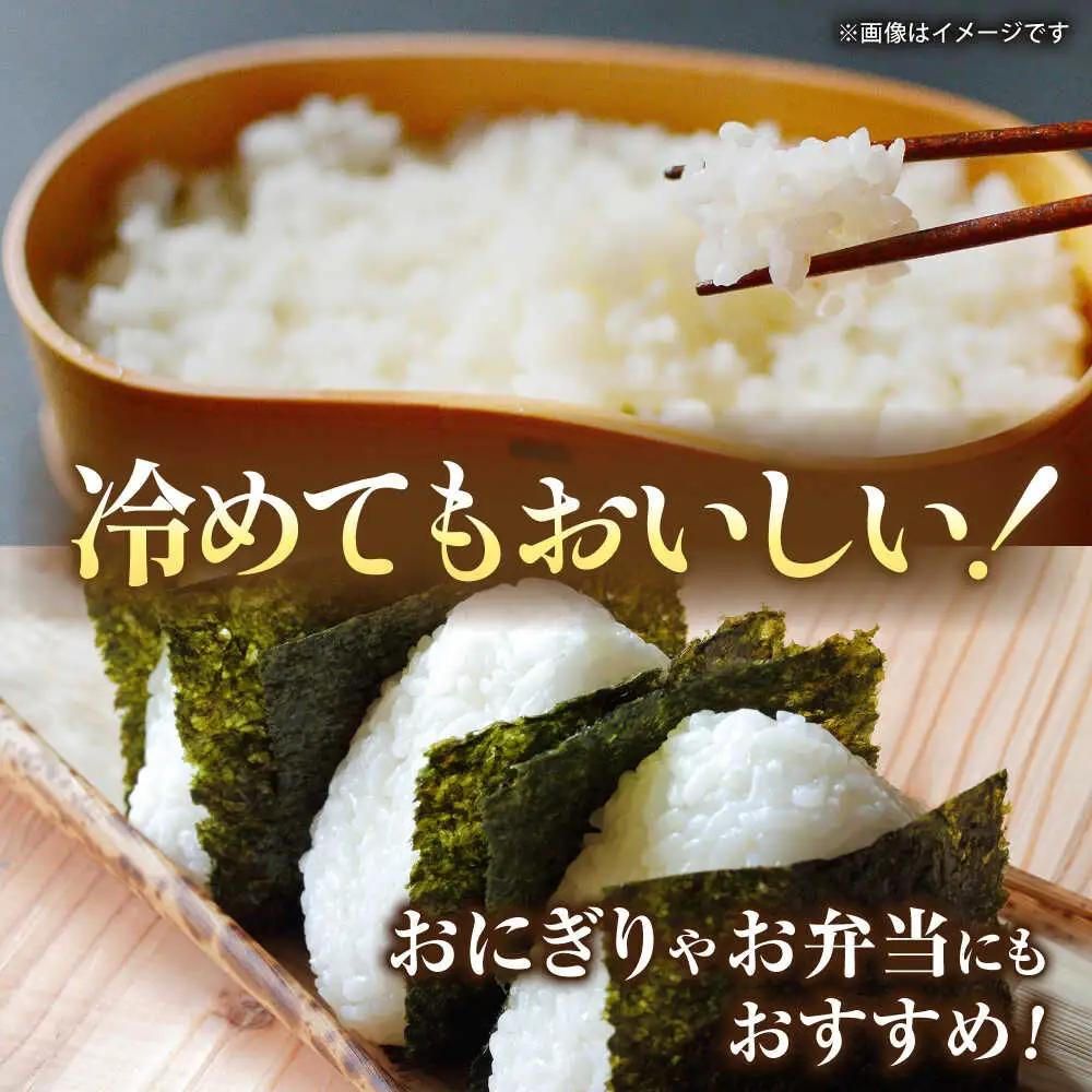 〈令和8年度産米〉先行予約 熊本県産 お米 森のくまさん 10kg 【すみれファーム】 令和7年産 [ZEP073]