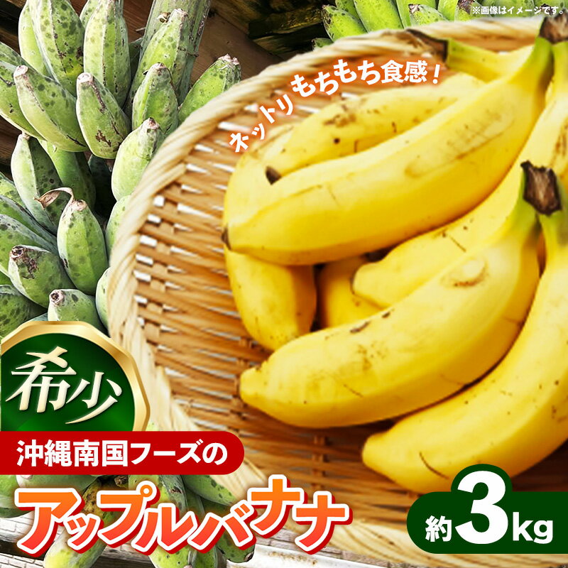 【ふるさと納税】国産 希少種！南国フーズのアップルバナナ 約3kg - バナナ ばなな 小ぶり 沖縄県 産地直送 果物 フルーツ 南国 朝食 おすすめ 沖縄県 八重瀬町【価格改定】