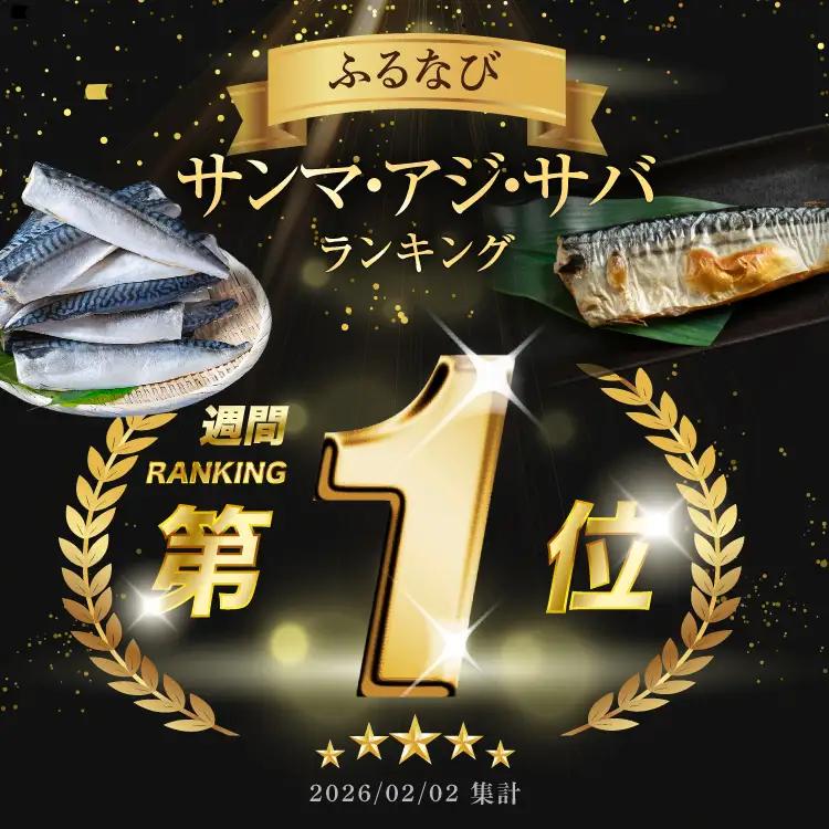 訳あり 塩サバ 2.5kg サバ 鯖
