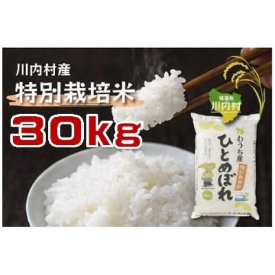 ふるさと納税 川内村 令和7年かわうち産 特別栽培米 ひとめぼれ 30kg