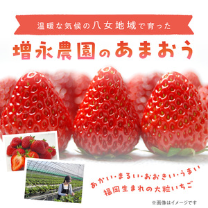 【増永農園】 あまおう 270g×2パック 【2026年1月より順次発送】 ジューシー フレッシュ 苺 果物 くだもの スイーツ作り 数量限定 イチゴ 期間限定 美味しい いちご 福岡県 八女市 19