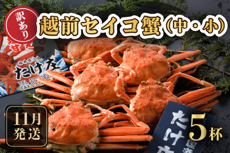 【先行予約】訳あり≪茹で≫越前セイコ蟹(中・小) 5杯【2025年11月発送分】 [F-1601_11]