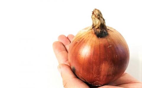 【9月発送】サラダにもOK！減農薬玉ねぎ10kg
