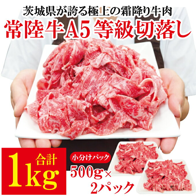【ふるさと納税】常陸牛A5等級切落し 計1kg[500g×2パック] 国産 5等級 A5ランク 茨城県 牛肉 霜降り 冷凍 牛丼 すき焼き カレー 小分け おかず【そうざい男しゃく】【ho1561】