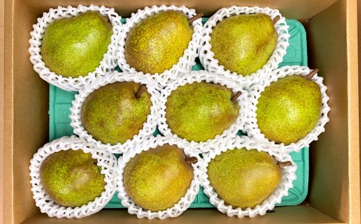 西洋梨（ラ・フランス）３ｋｇ　特秀品　0065-2608