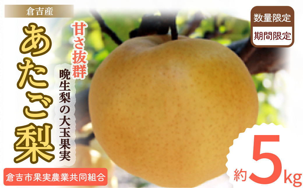 
            あたご梨 【倉吉産】 5kg（倉吉市果実農業共同組合） 梨 あたご梨 なし 鳥取 果物 フルーツ 和梨 先行予約 数量限定 詰め合わせ 甘い ジューシー 大玉 やわらかい 人気
          
