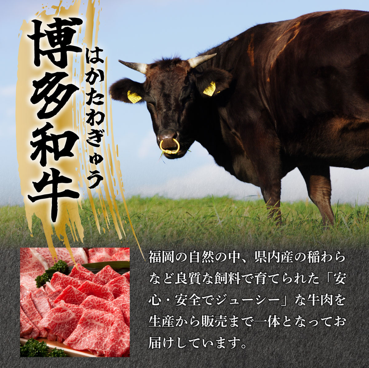 訳あり【A4～A5】牛肉 ともばらしゃぶしゃぶすき焼き用牛肉 500g【CP052】