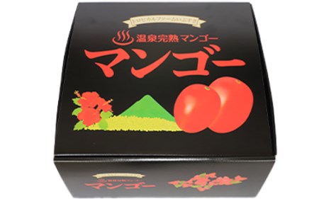 【2025年 発送】温泉完熟マンゴー4～6玉約2kg(トロピカルファームいぶすき/044-1767) マンゴー フルーツ 果物 旬 夏 指宿 いぶすき 鹿児島