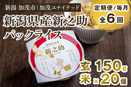 【定期便6ヶ月毎月お届け】新潟県産 新之助 玄米パックライス（150g×20個入） 新潟産米 自宅で簡単 パックごはん 時短 贈り物にも ブランド米 加茂市 加茂ユナイテッド 米 米 米 米 米 米