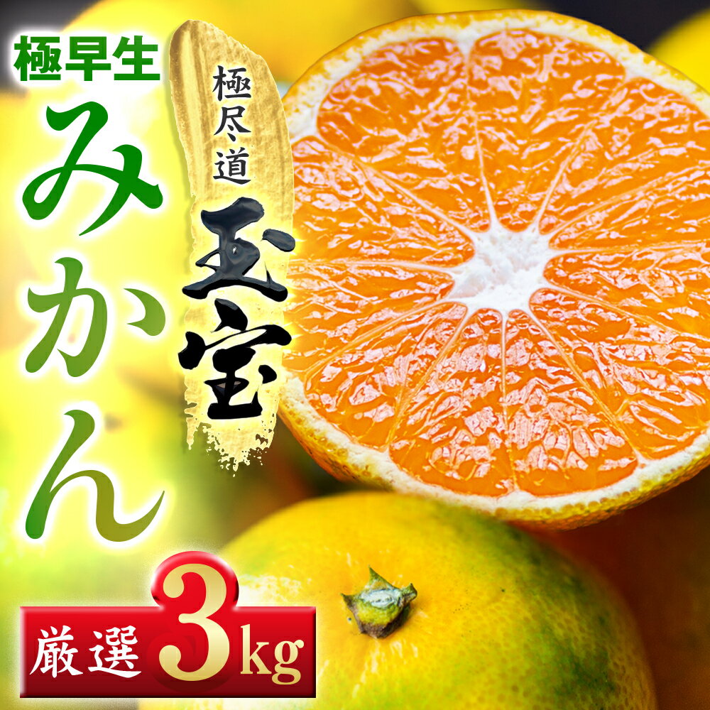 【ふるさと納税】【愛媛名産】極早生みかん 3kg/5kg/10kg/20kg_ みかん ミカン 極早生 極早生みかん 玉宝 極尽道 愛媛のみかん S M L 小玉 大玉 サイズ混合 柑橘 果物 フルーツ 美味しい 甘い 愛媛 愛媛県 八幡浜市 人気 送料無料 【G1510670】 YWTY007