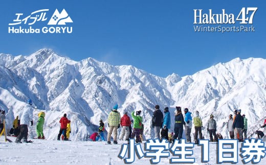 長野県エイブル白馬五竜&Hakuba47スキー場共通リフト券＜小人1日券1枚＞/長野県白馬村 スキー チケット シーズン券 長野 白馬村 パウダースノー ゲレンデ 北アルプス エイブル白馬五竜 Hakuba47  こども  子供  おすすめ 人気 ウィンタースポーツ ギフト 贈答【L0190276】