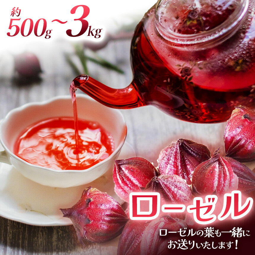 【ふるさと納税】ローゼル (ローゼルの葉同梱) 500g 1kg 1.5kg 3kg【選べる内容量】【11月発送】【先行予約】 | ローゼル ハーブティー ジャム コンポート シロップ 美容ドリンク 手摘み 農薬不使用 化学肥料不使用 送料無料 栃木県 下野市