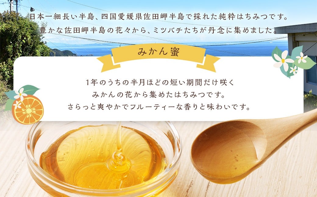 「岬のしずく」佐田岬半島産 純粋蜂蜜 みかん蜜 300g 2本 セット 合計約600g (323-1)