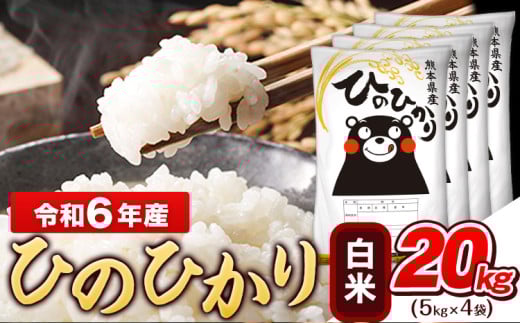 令和6年産 白米 ひのひかり 20kg《7-14日以内に出荷予定(土日祝除く)予定》令和6年産 熊本県産 ふるさと納税 白米 精米 ひの 米 こめ ふるさとのうぜい ヒノヒカリ コメ お米 おこめ