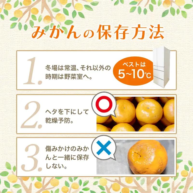 【2027年1月発送予約】 ご家庭用 こだわりの有田みかん 約5kg＋150g(傷み補償分)  光センサー選別 農家直送 / みかん ミカン 有田みかん 温州みかん 柑橘 フルーツ 果物 くだもの 旬