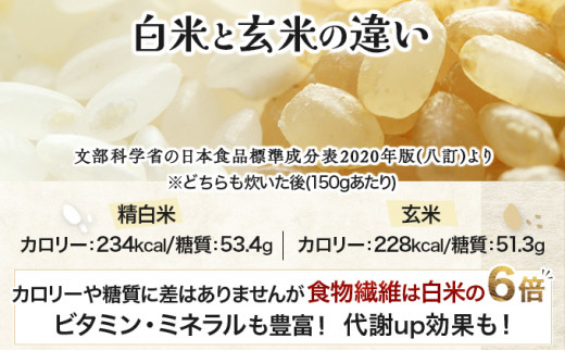『100%自家生産玄米』善生さんの自慢の米 玄米ななつぼし10kg※一括発送 [a104-116] 玄米　ななつぼし10kg