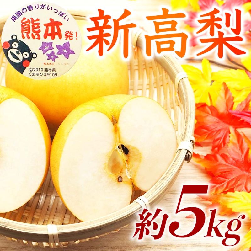 【amazon価格】新高梨 約5kg（6～16玉）【梨 なし 果物 フルーツ デザート 食後 熊本県産】※配送不可：離島