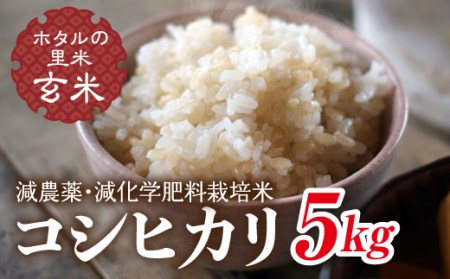 令和6年産【ホタルの里米】環境に配慮し農薬を減らした栽培米 コシヒカリ玄米5kg 米 お米 おこめ ご飯 ごはん 福島県 西会津町 F4D-0695