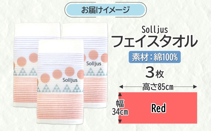 Solljus ソリュース フェイスタオル レッド 3枚 泉州タオル 005A734_イメージ4
