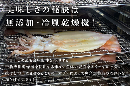 イカ 干物 5枚セット ソフト 干物 ふっくら 海人 漁師 いか トビイカ 美味しい 冷凍 お酒 の おつまみ 海鮮 沖縄 糸満市 ノアーズアーク 11000円 1万1千円