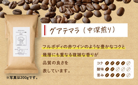 【ギフト用】【自家焙煎】豆と麦 グアテマラ（粉） 計600g（200g×3袋） A017-019-08 コーヒー 珈琲 粉 グアテマラ 中深煎り 自家栽培珈琲 自家栽培 コク 甘味 豆と麦 自家焙煎珈