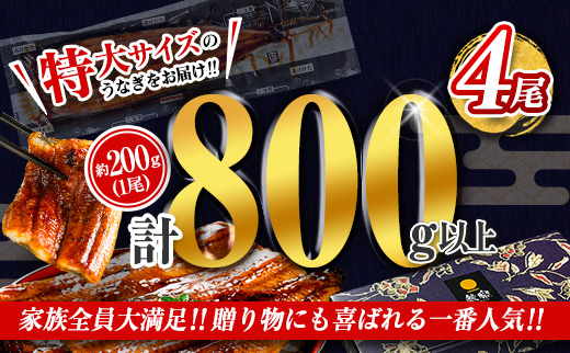 ＜丑の日までにお届け!!＞特大 うなぎ 鰻楽 国産 蒲焼 4尾 計800g以上 無頭 冷凍 簡単調理 個包装 贈答品 ギフト ［7/15～7/26にお届け］【C388-800-ushi】